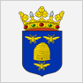Logo gemeente Borne